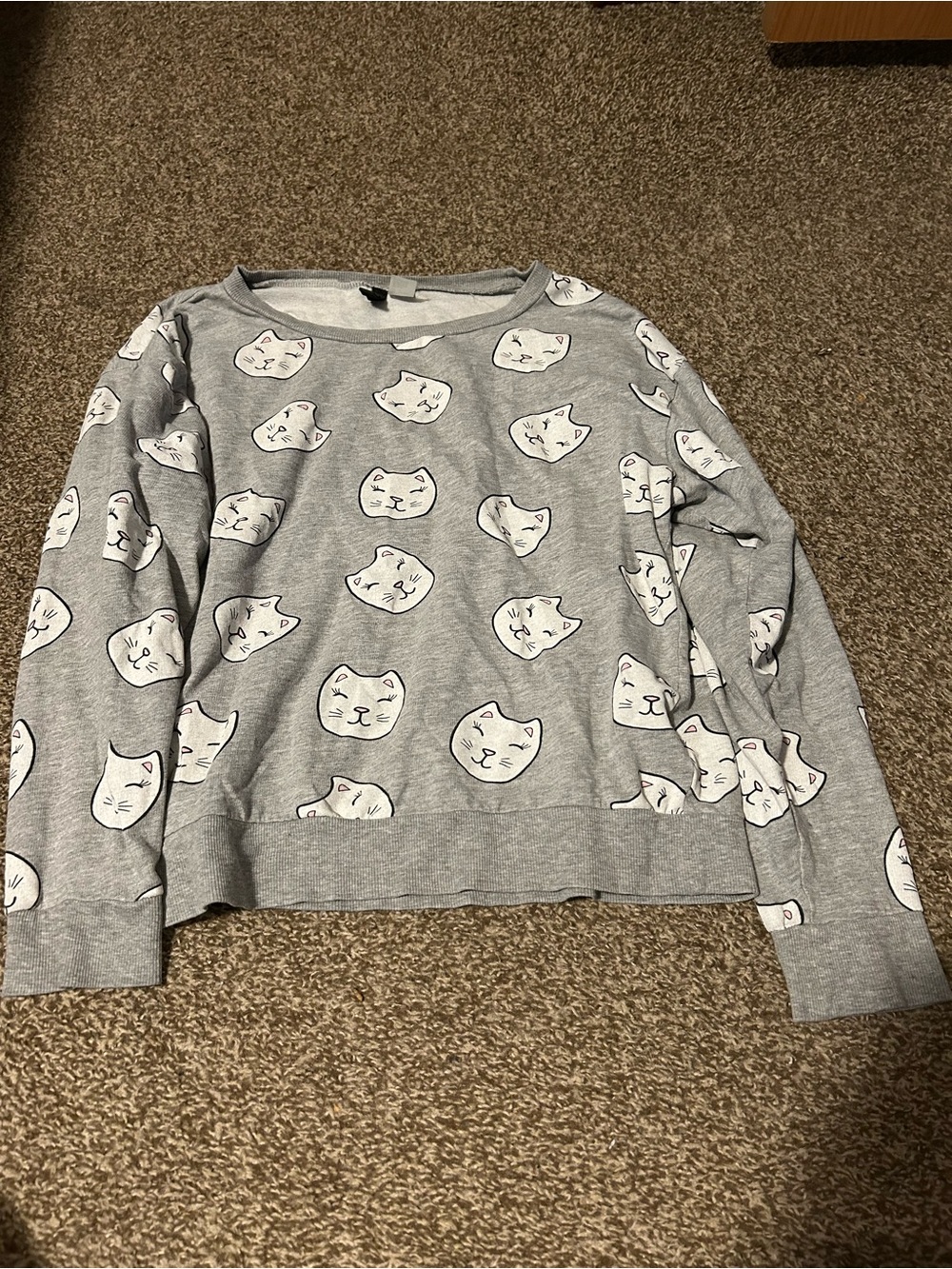 H&M Light Gray Cat Graphic Sweatshirt